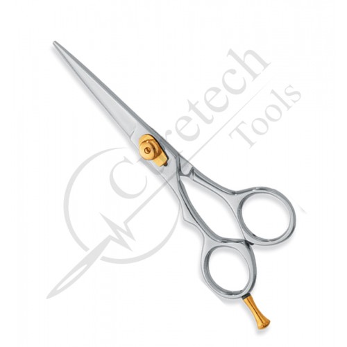 Professional hair Cutting Scissors