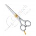 Professional hair Cutting Scissors