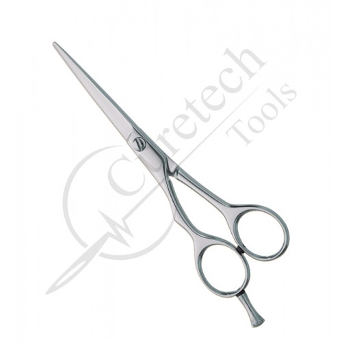 Professional hair Cutting Scissors