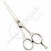 Standard Hair Dressing Scissors