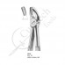 Extracting Forceps