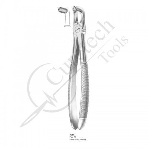 Extracting Forceps