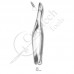 Extracting Forceps