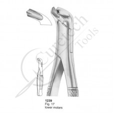 Extracting Forceps