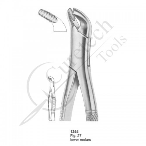 Extracting Forceps