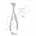 Nasal Specula