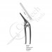intestinal and Pulorus Clamps