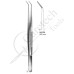 Delicate Dissecting Forceps