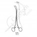 Sponge and Dressing Forceps