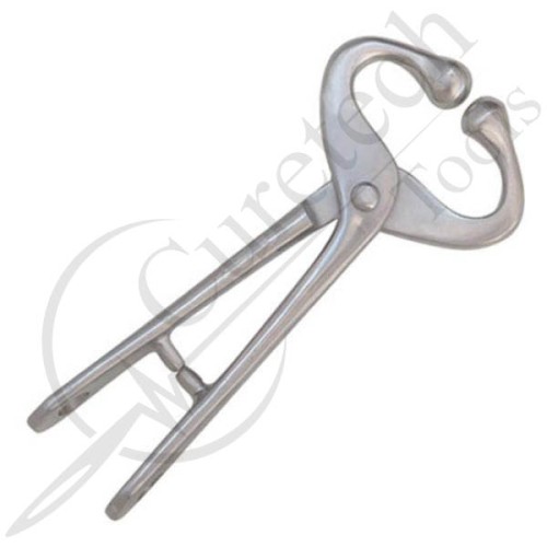 BULL HOLDER